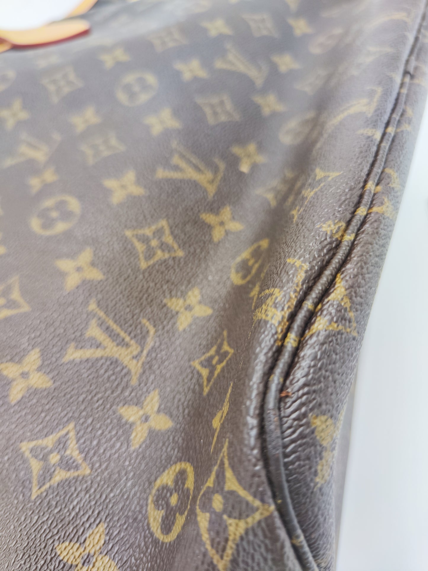 Neverfull PM