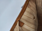 Neverfull Damier d'azur