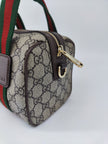 Gucci mini bag Ophidia