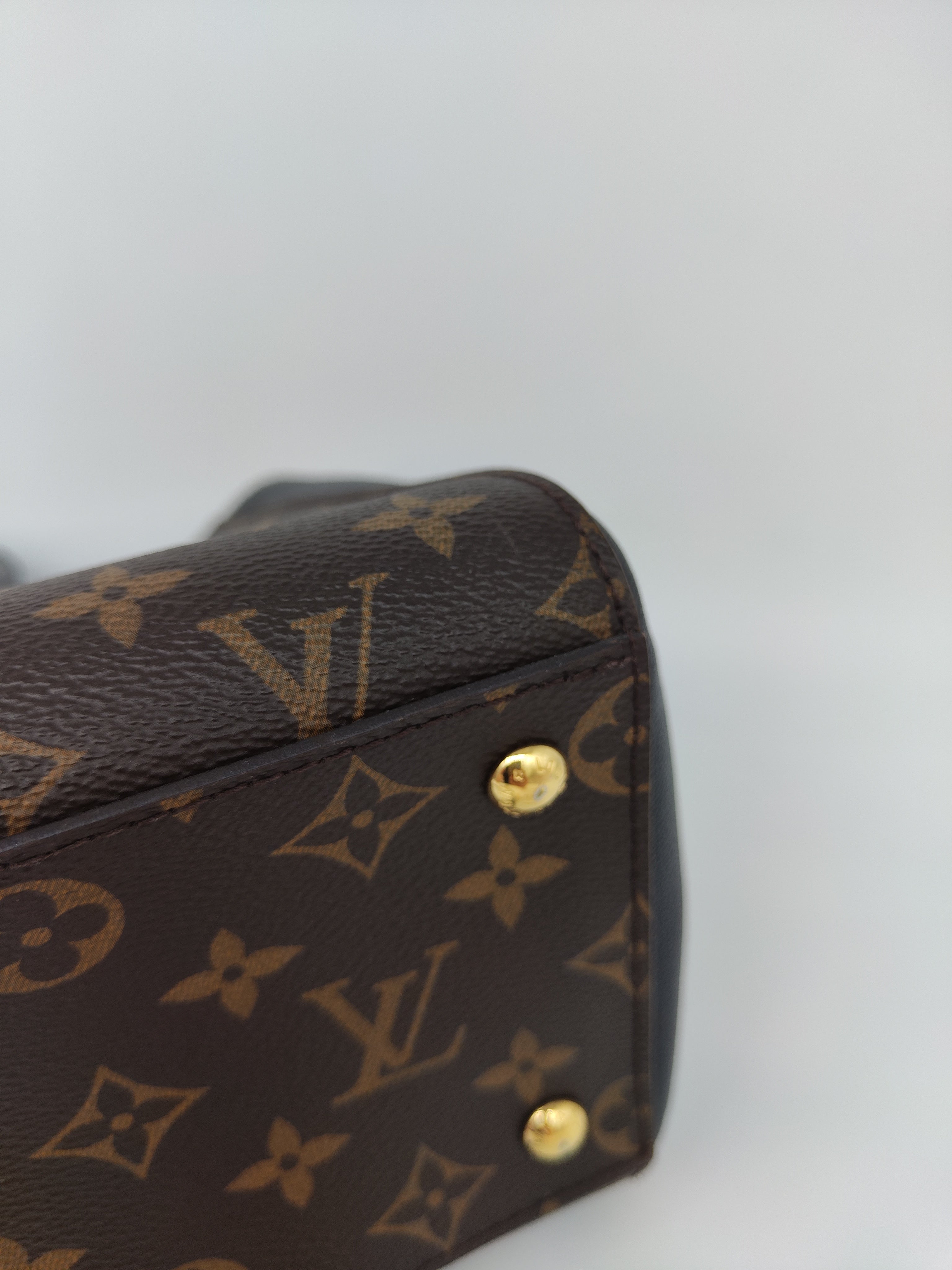 Louis Vuitton Florine
