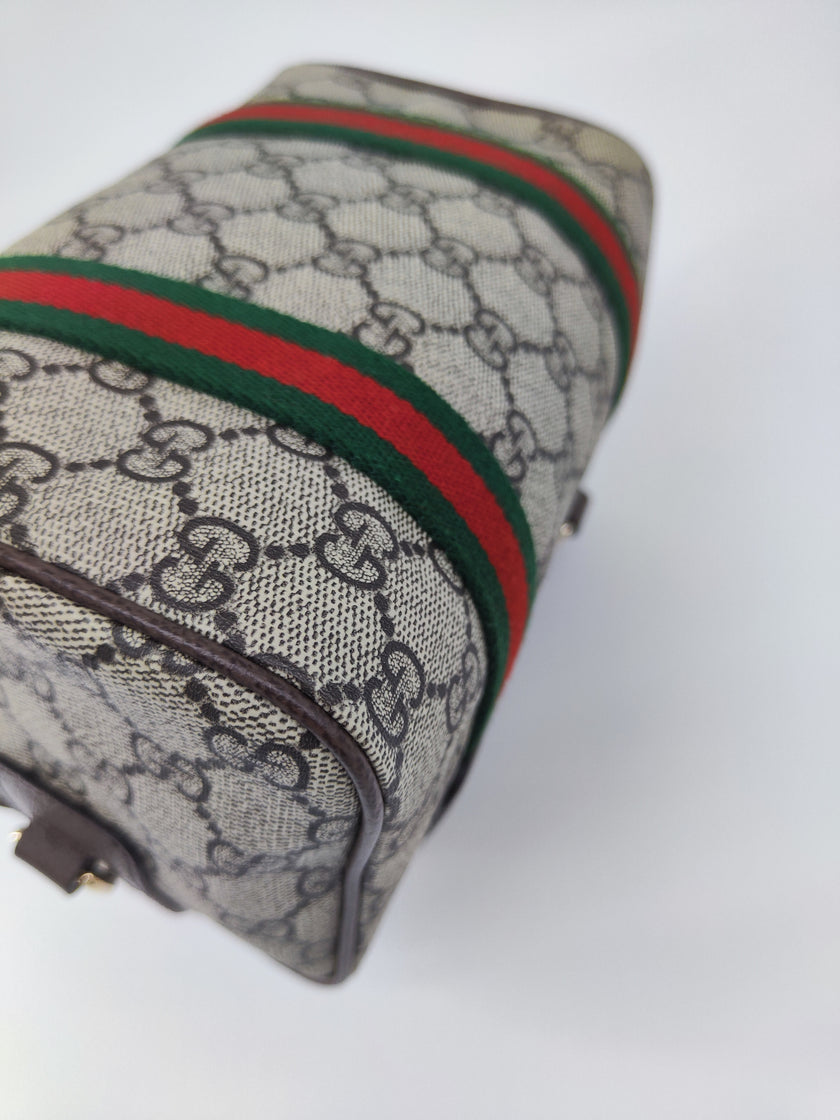 Gucci mini bag Ophidia