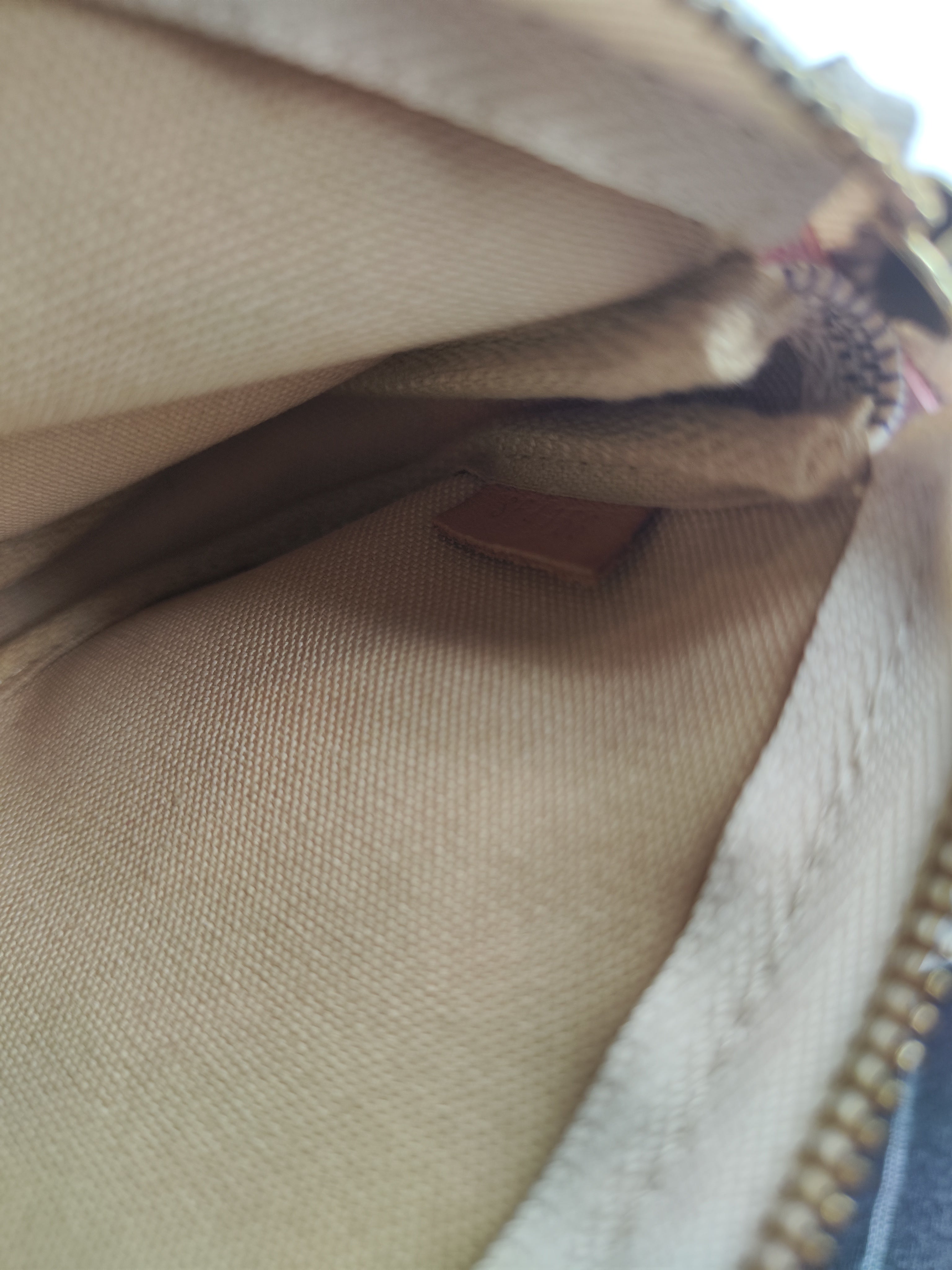 Pochette LV limited edition migrazione