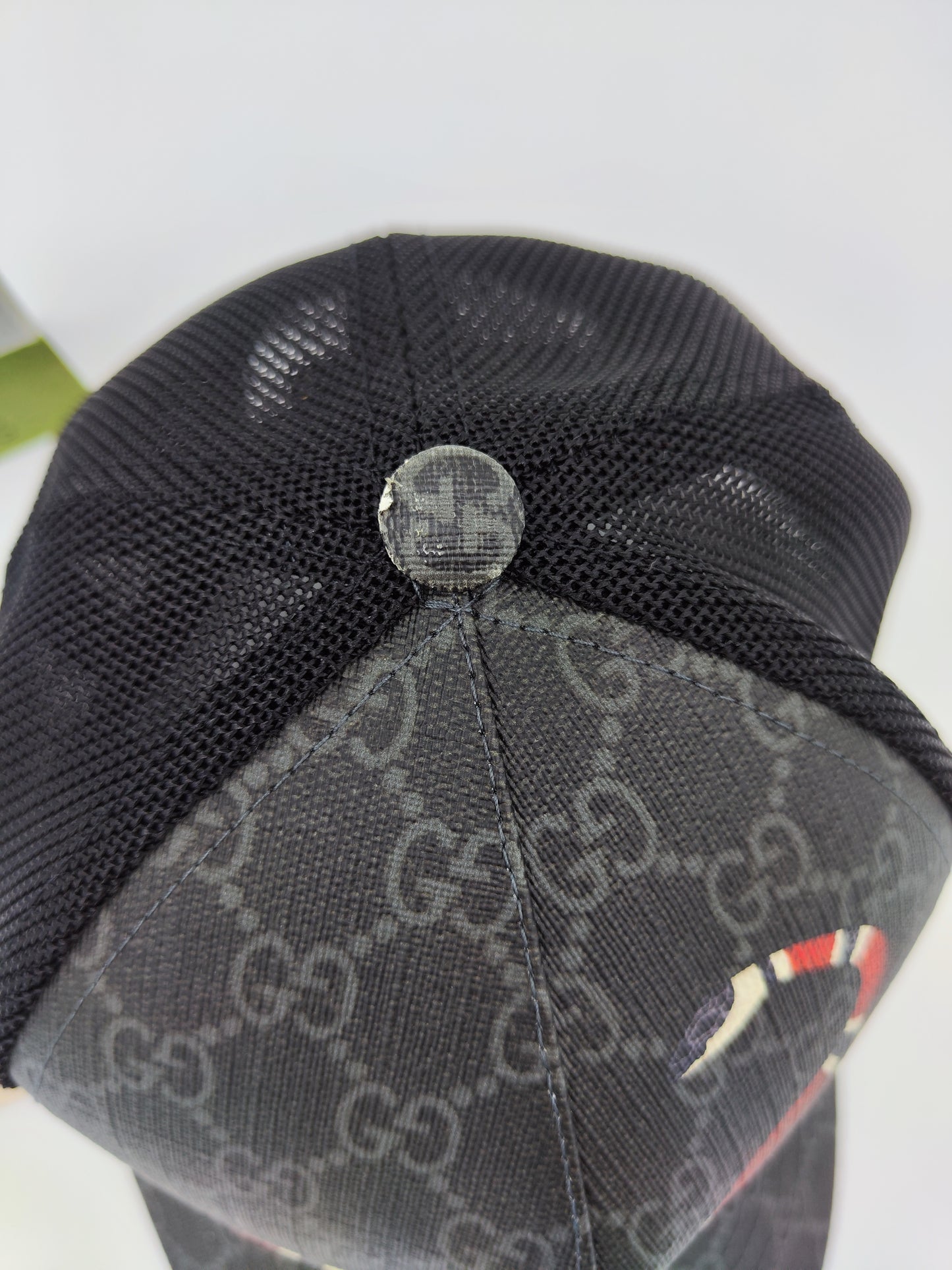 Berretto Gucci kingsnake