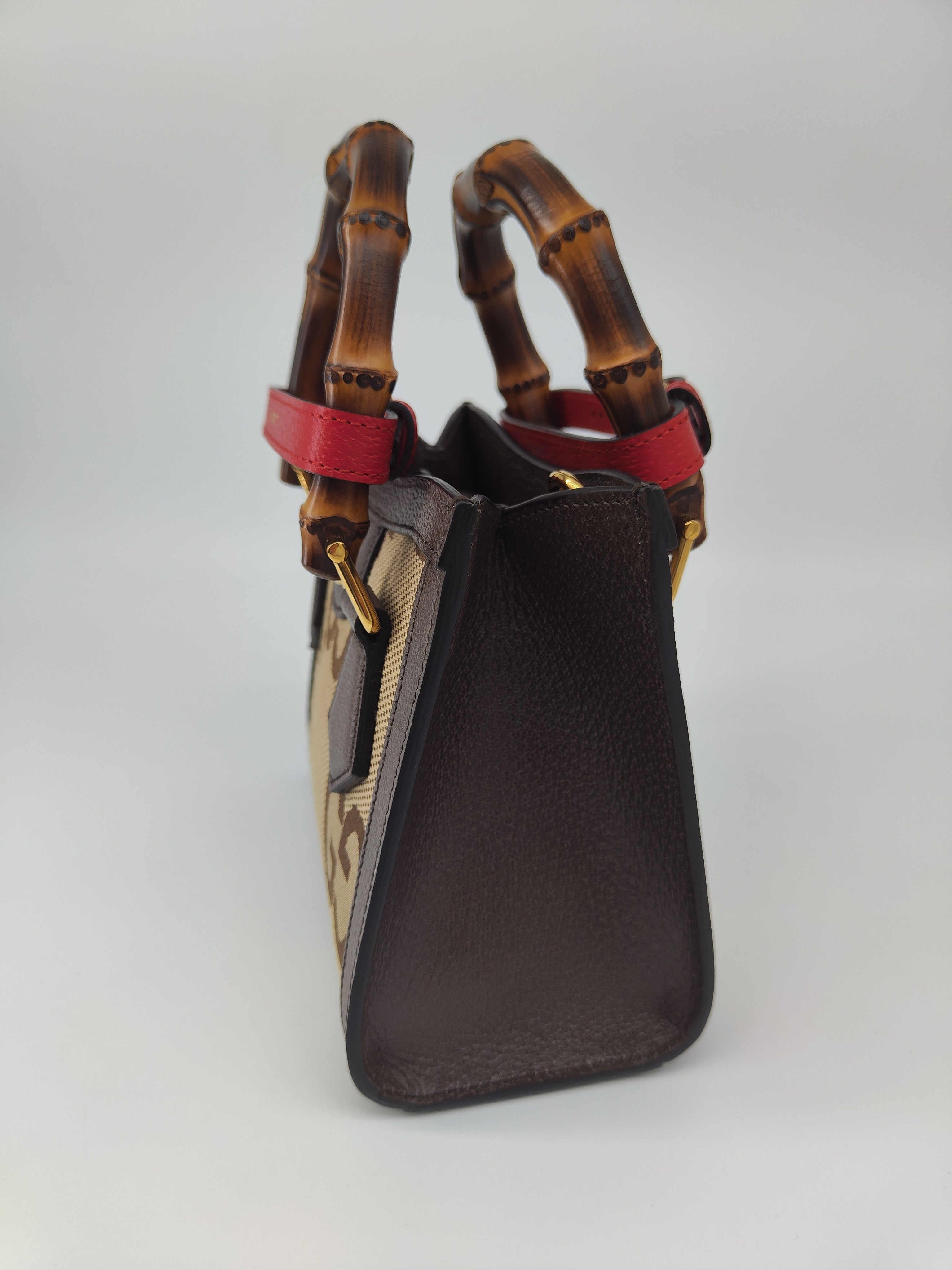Gucci Diana
