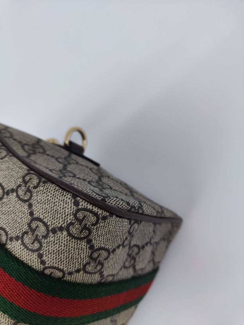 Gucci mini bag Ophidia