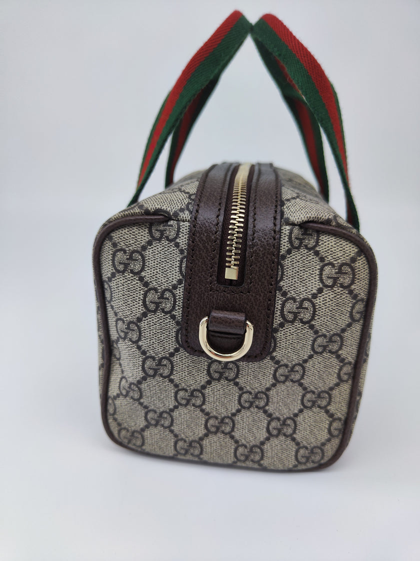 Gucci mini bag Ophidia
