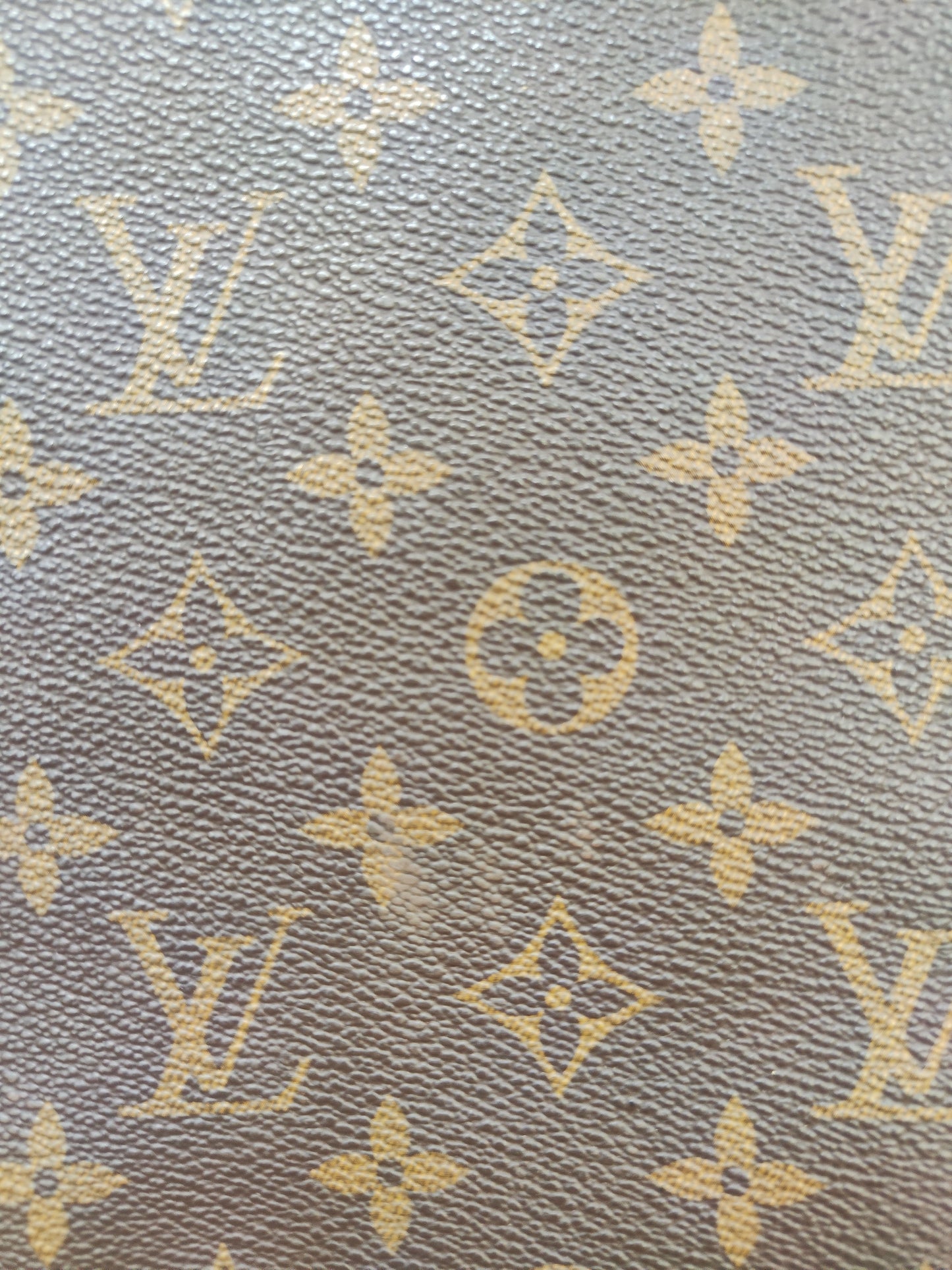 Neverfull LV GM