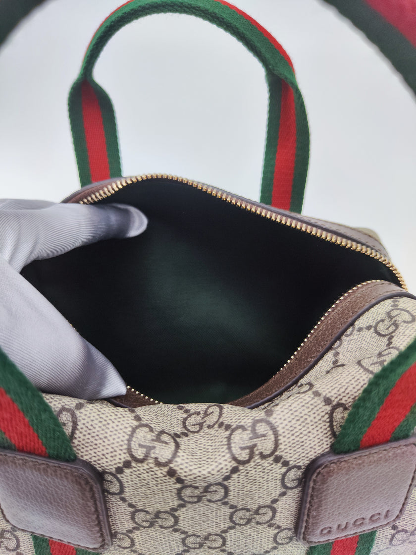Gucci mini bag Ophidia