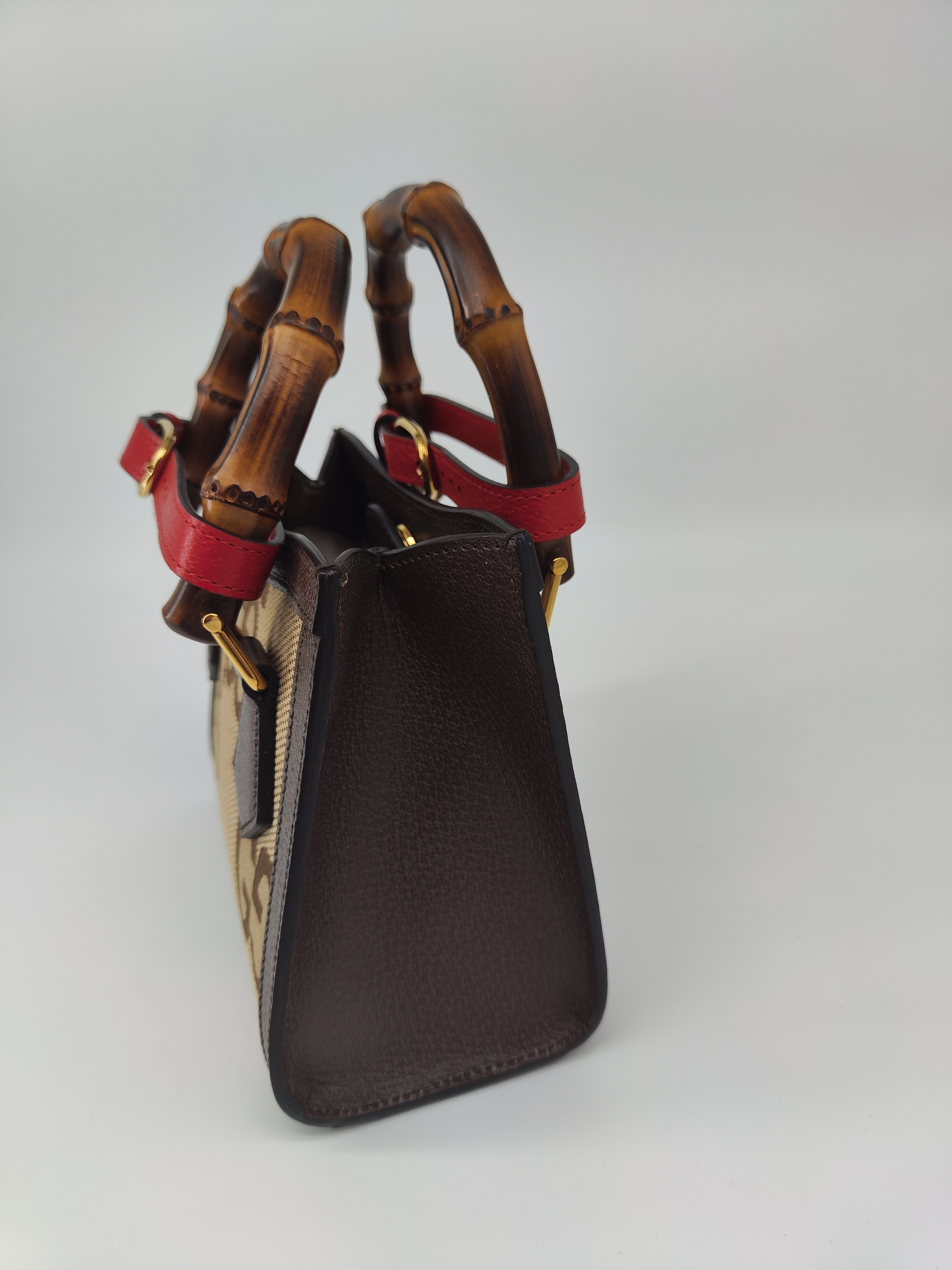 Gucci Diana