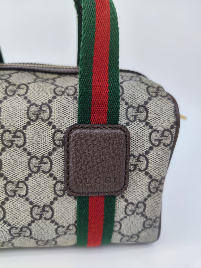 Gucci mini bag Ophidia